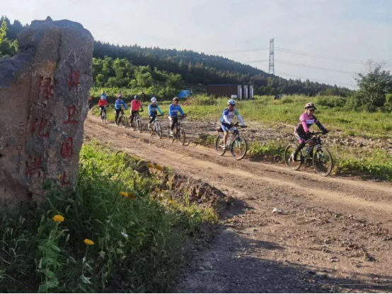 ▲生态修复后的大洪山林区