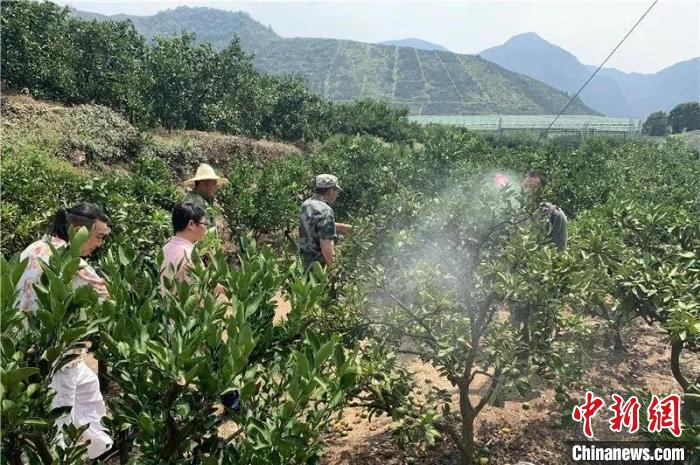 喷洒植物防晒剂 台州发布供图