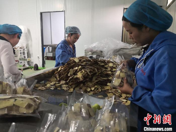 图为在甘肃聚和泰电子商务有限公司包装车间里，工人将药材分装。　杜萍 摄