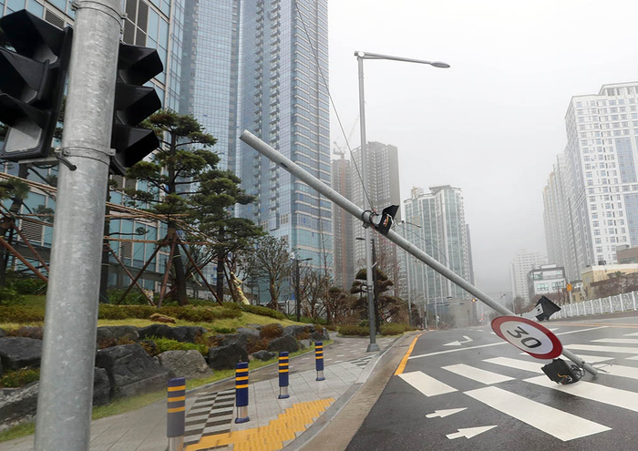 当地时间9月7日，韩国街头。人民视觉 图