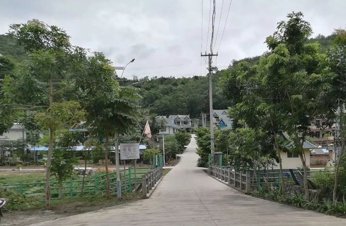 香烟箐村的防象围栏。村长冯广林供图