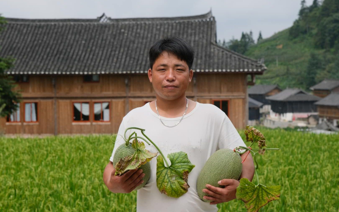 村里安全监察员潘世才也在哈密瓜种植地帮忙。新京报记者 王巍 摄