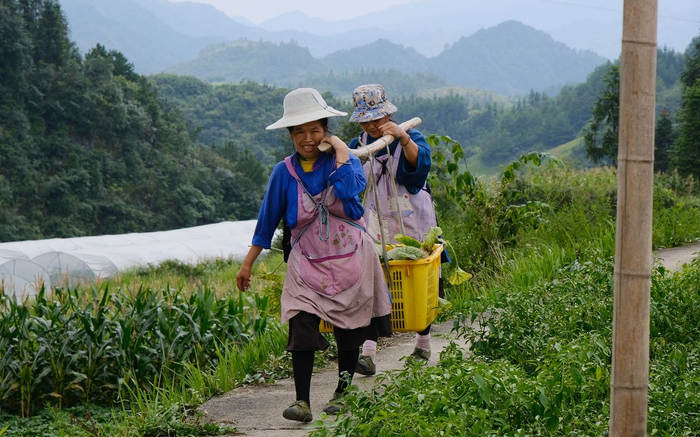 当地妇女们挑着刚采收的瓜。新京报记者 王巍 摄