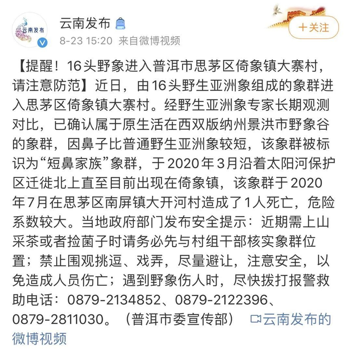 云南省委宣传部发布的提醒。网页截图