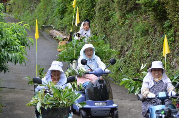上胜町还有一项知名的产业就是生产和食便当里装饰用的叶子，由于当地老龄化较为严重，从事这样工作的员工大多是老人，平均年龄高达70岁。 资料 图