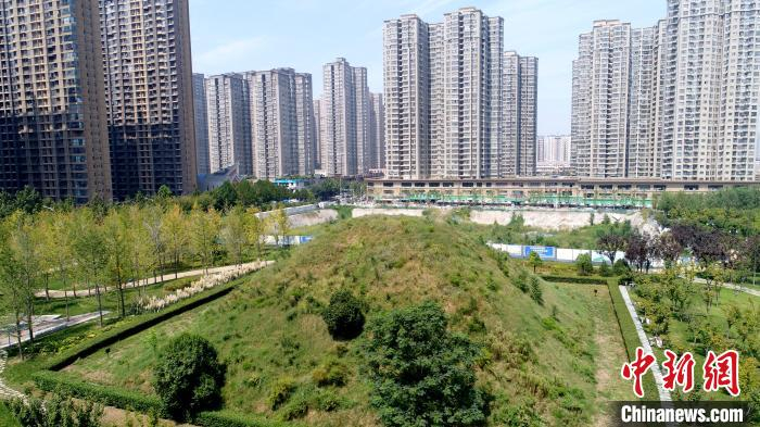 图为薛家寨汉墓群周边高楼林立。　张远 摄