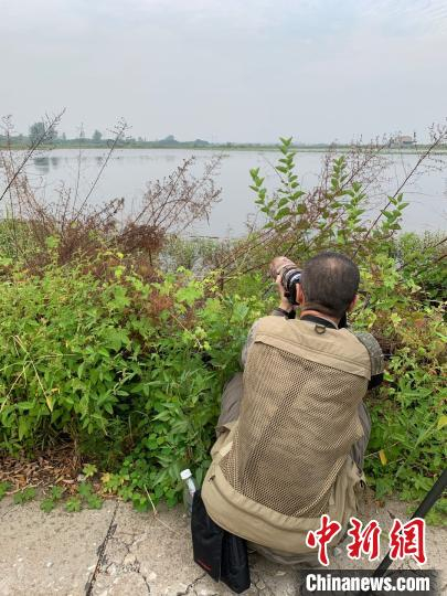 图为颜军正在拍摄鸟类 武一力 摄