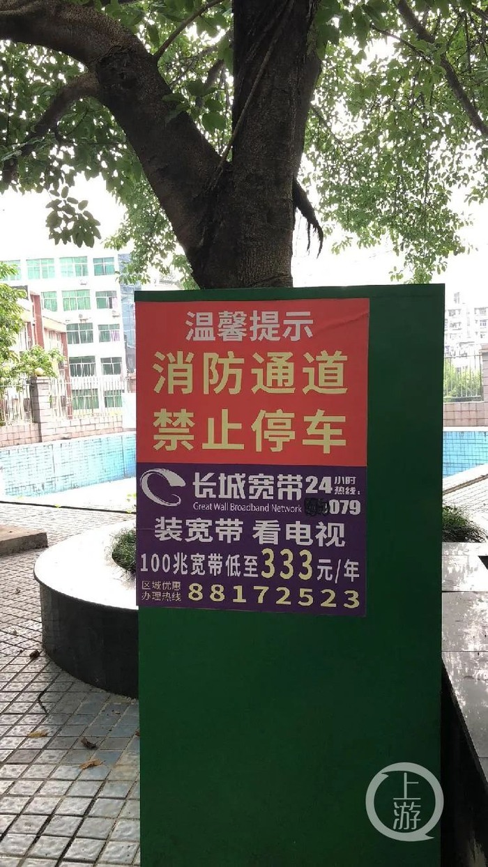 上游新闻·重庆商报记者 韦玥/摄