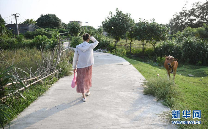 在广东徐闻县北莉岛，开学第一天放学后，林小恋走在去学生家家访的乡间小路上（9月1日摄）。新华社记者邓华 摄