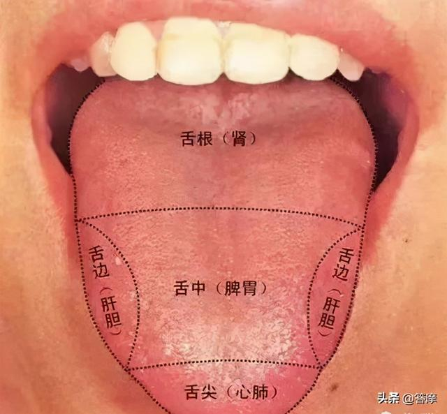 看舌头，知你是阳虚中的哪一种