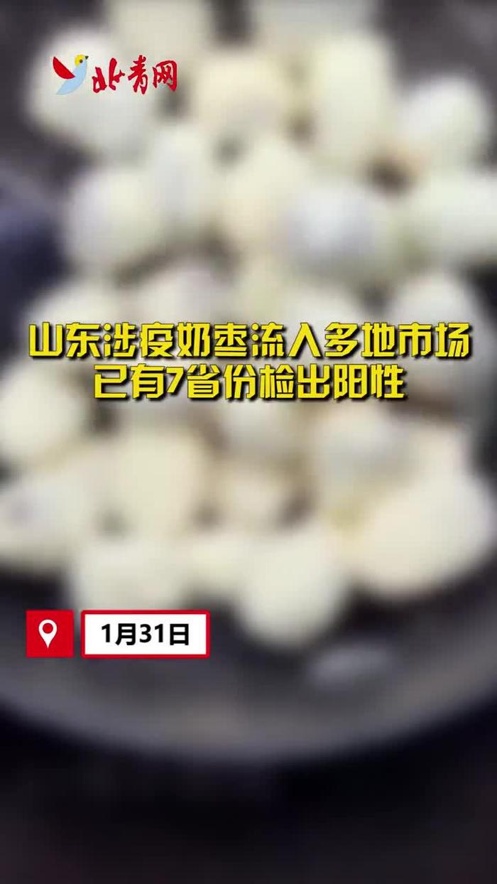 山东奶枣检测阳性图片