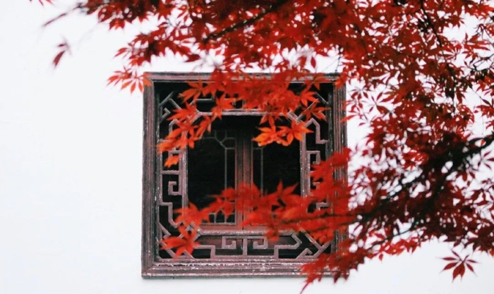 （【漏窗】小牛1030/摄）