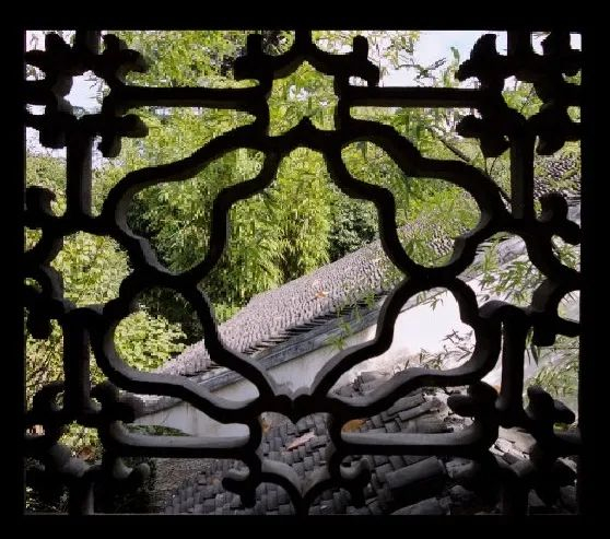 （小柴君cys/摄）