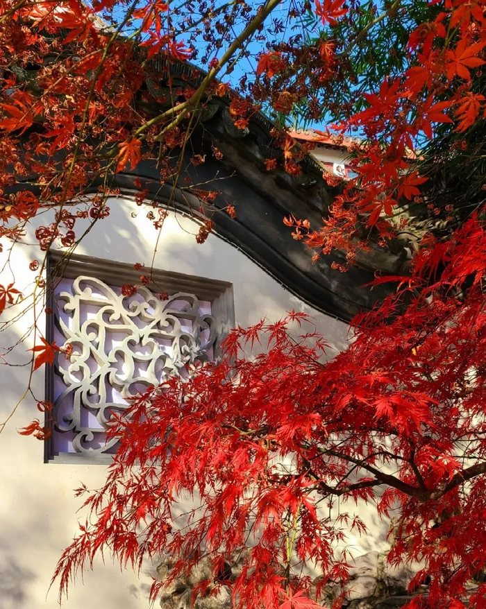 （【盲窗】cwm听雨/摄）