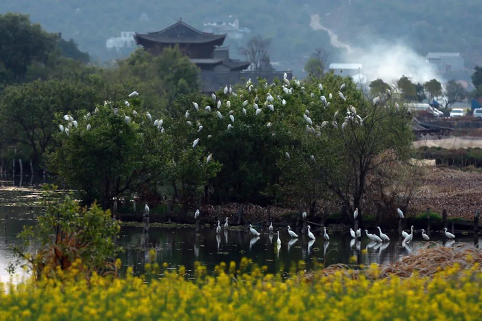 腾冲市委宣传部供图