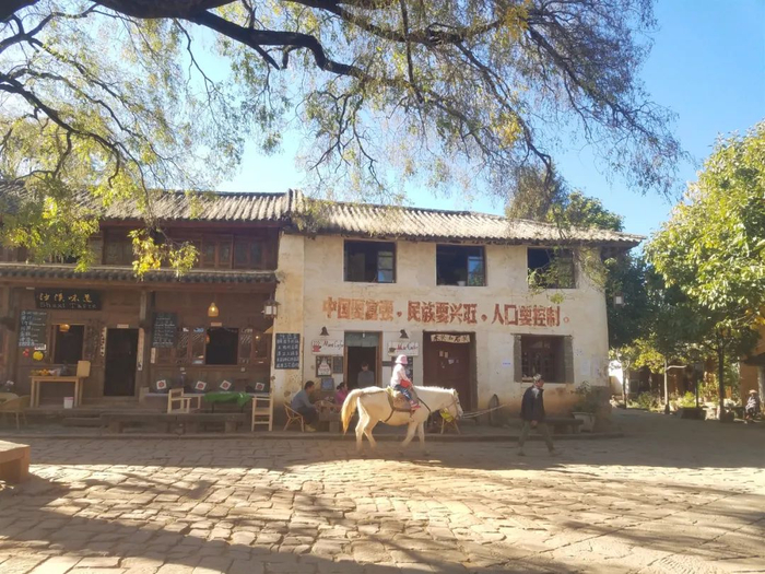 大理州委宣传部供图