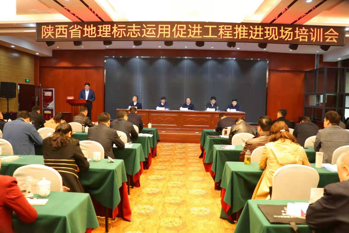 陕西大荔:2020年度市场主体发展稳中有升