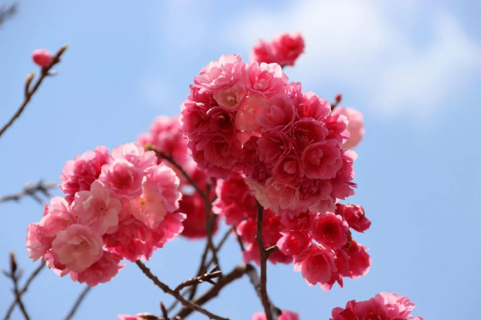 马龙融媒 尹路仓 摄