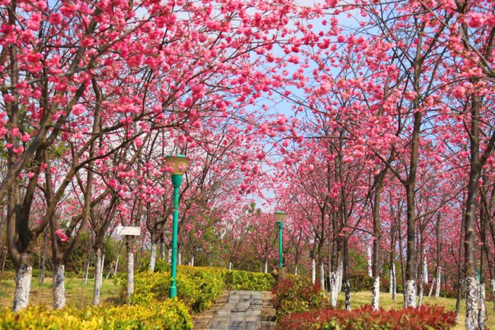 马龙融媒 尹路仓 摄