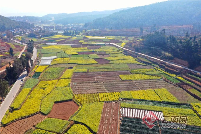 吉桂琼 李丹 摄