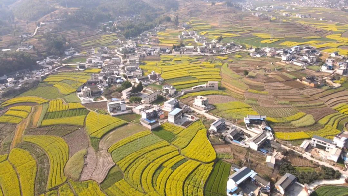 杨磊 吴丹 段晓波 瞿柯楠 杨继泽 摄