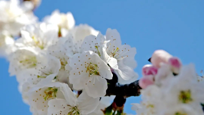 个旧市融媒体中心 供图