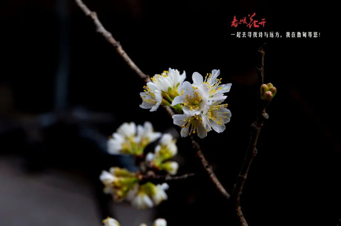 郭家龙 摄