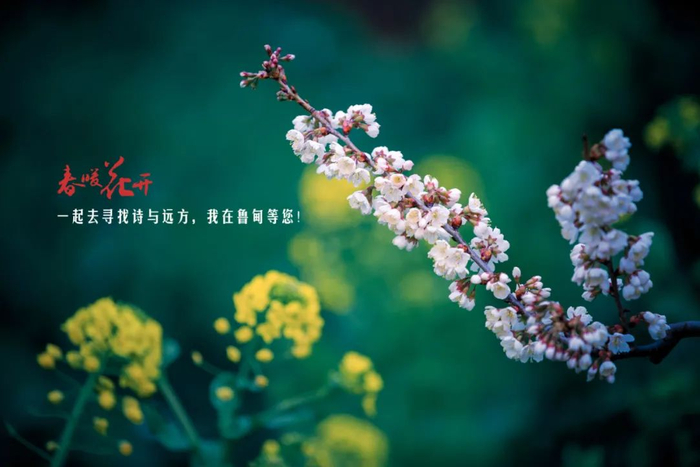 郭家龙 摄