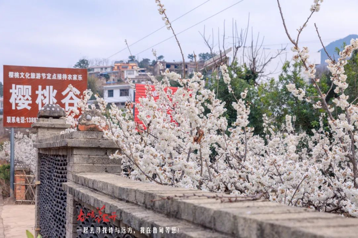 郭家龙 摄