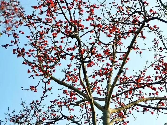 陈宏 摄
