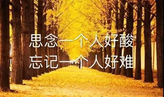 心情不好的句子发朋友圈,适合心情低落的朋友圈句子配图