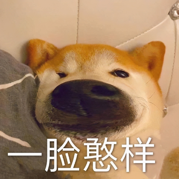 沙雕表情包更新你当我小猫咪不会发怒