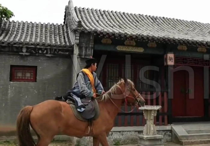 古代“八百里加急”有多快，跟现代快速对比呢？|驿站|八百里|快递