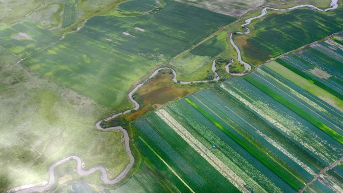 河北省张家口坝上沽源县境内的闪电河河床样貌。《大河之北》栏目组供图