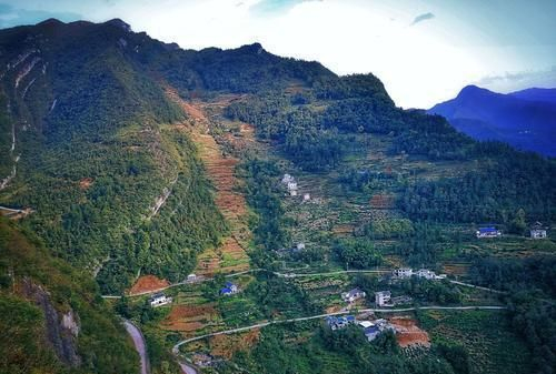 团风seo网站优化排名哪家好