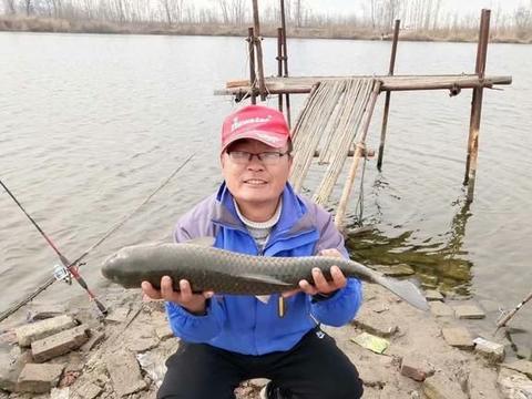 由直柄和枪柄的区别说开来,小聪明藏着大智慧