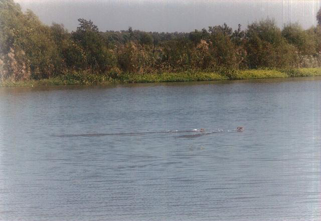 　　图为《古运回望图》——创作采风图片