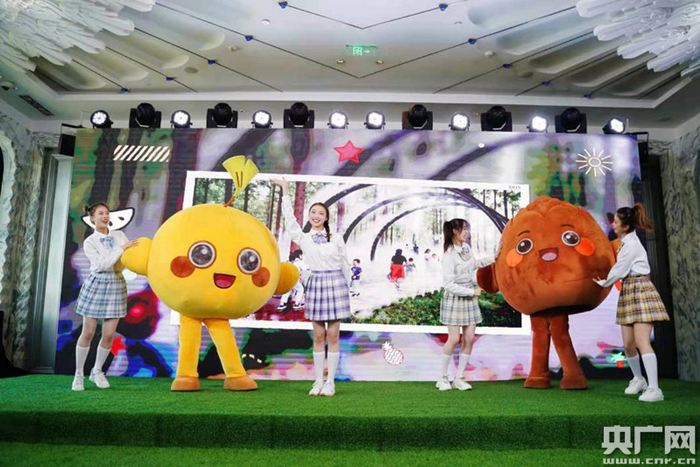 推介现场（央广网发 主办方供图）