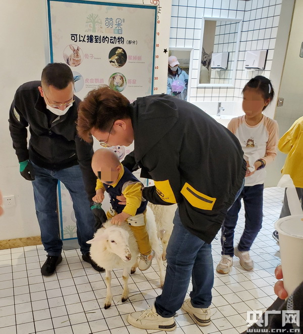 小朋友与宠物亲密接触（央广网记者 靳敏 摄）