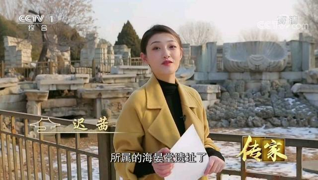 迟茜首次亮相央视新闻直播间，主持人大赛文艺类选手成实习播音员|传家|央视主持人_新浪娱乐_新浪新闻