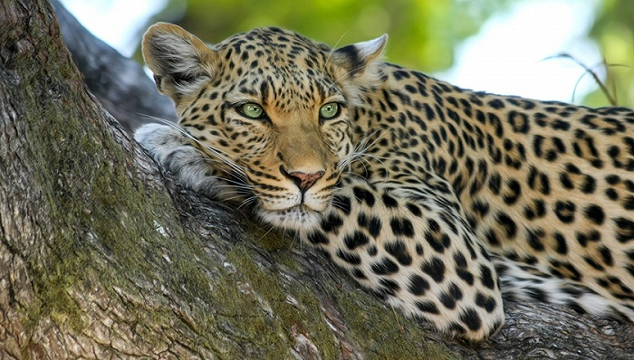 图文无关，仅作示意用。图片来源：Pixabay