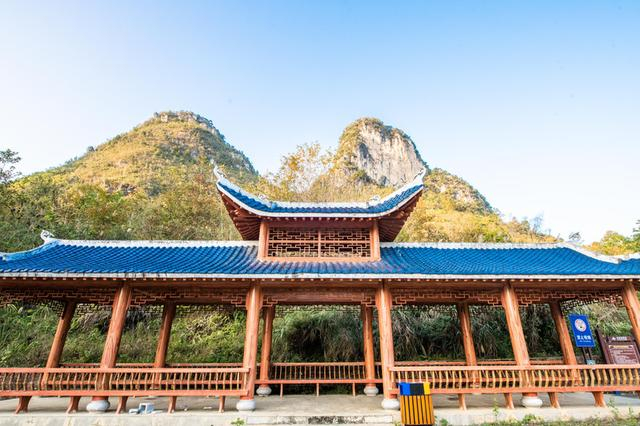 德保县seo优化服务