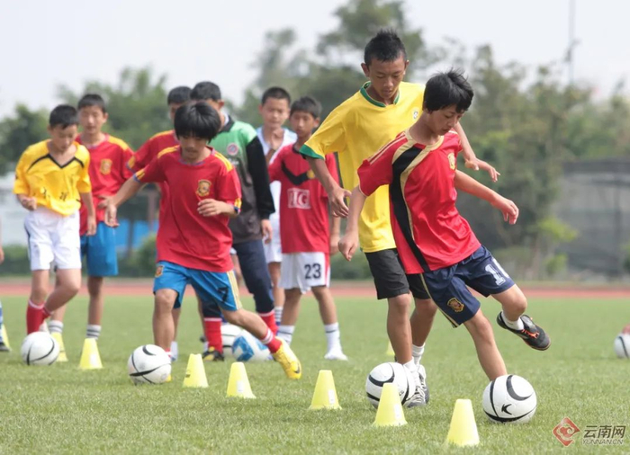 资料图 周灿 摄
