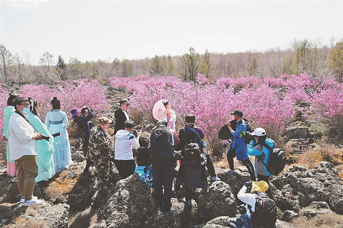 火山花海引客来。邵晶岩 刘剑 摄