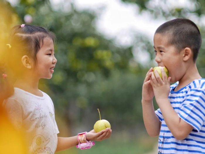 ▲新京报记者 王嘉宁 摄