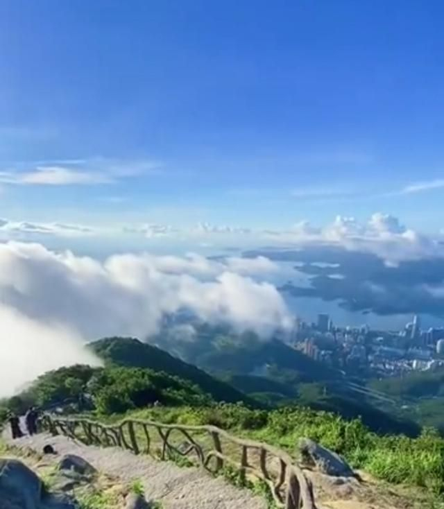 仙境般的云海美到让人窒息|深圳梧桐山|云海|仙境_新浪新闻