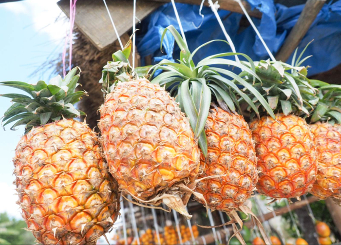 健康时报资料图