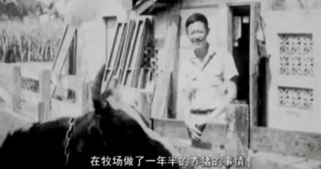 “怪人”金士杰:不顾争议迎娶22岁女学生,70岁仍在赚钱养家