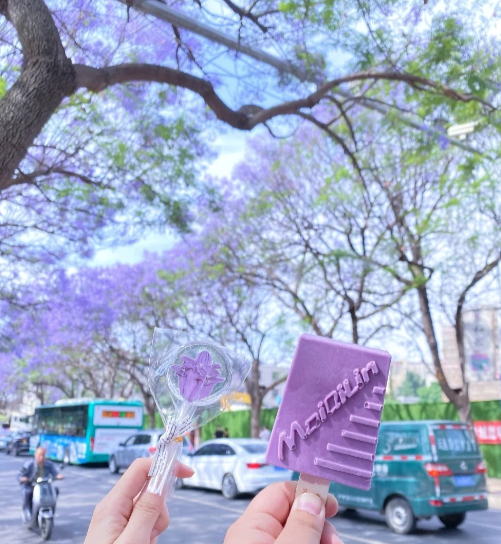 图/小红书 胡阿宝