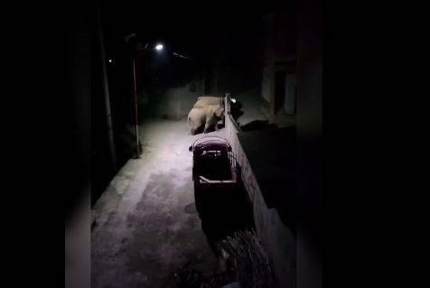 “玉溪发布”视频截图 